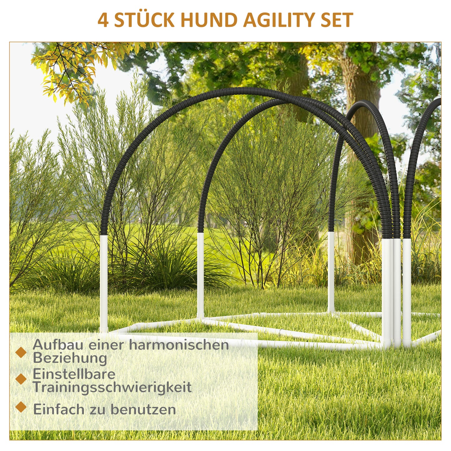 Kurven, Sprünge, Köpfchen: Dein 4-teiliges Hunde-Agility-Set