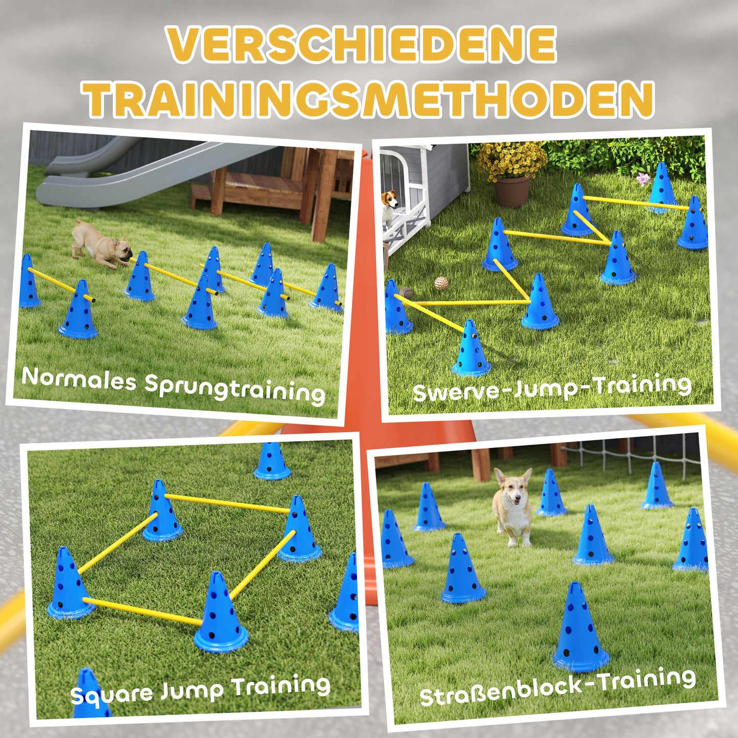 Der große Parcours für Zuhause: Dein 6-teiliges Hunde-Agility-Hürdenset