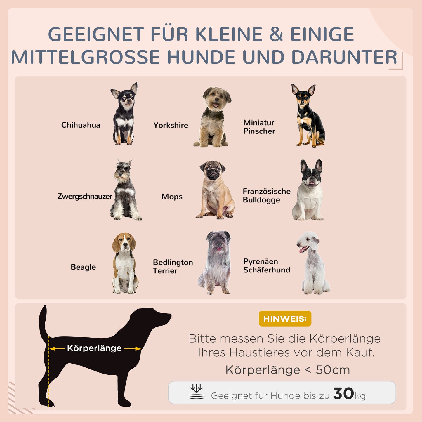 Schattiger Logenplatz im Garten: Deine erhöhte Rattan-Hundeliege mit Dach
