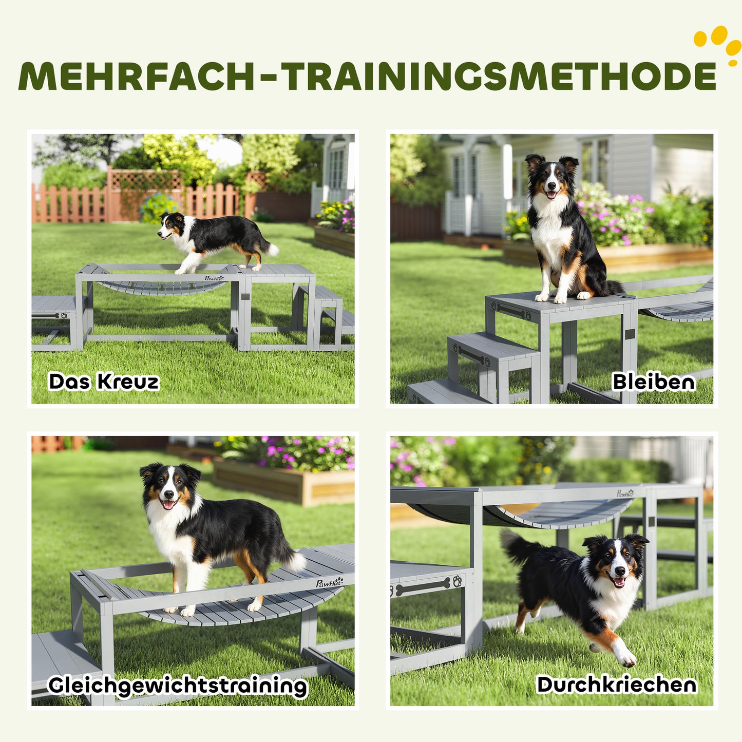 Balancieren, klettern, wachsen: Dein 3-teiliges Hunde-Agility-Set aus Holz