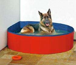 Hundepool Aufsicht rot-blau