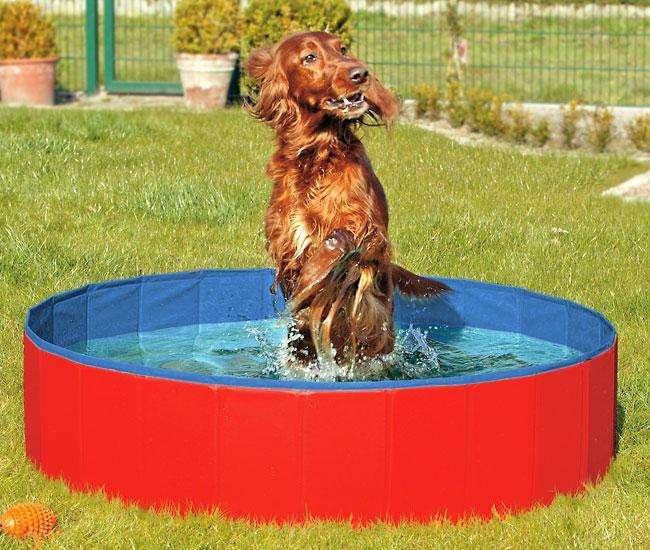 Klappbarer Hundepool rot-blau