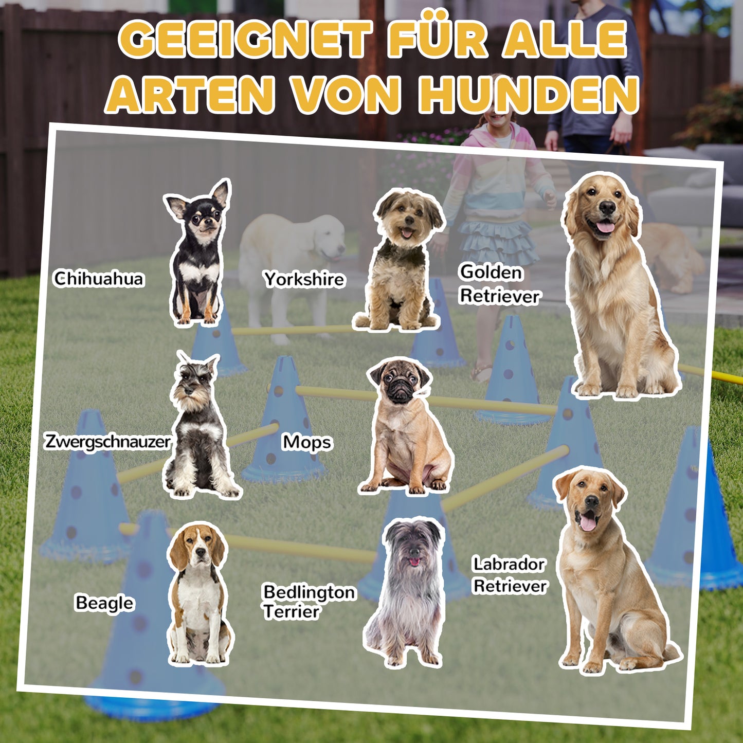 Der große Parcours für Zuhause: Dein 6-teiliges Hunde-Agility-Hürdenset