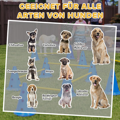 Der große Parcours für Zuhause: Dein 6-teiliges Hunde-Agility-Hürdenset