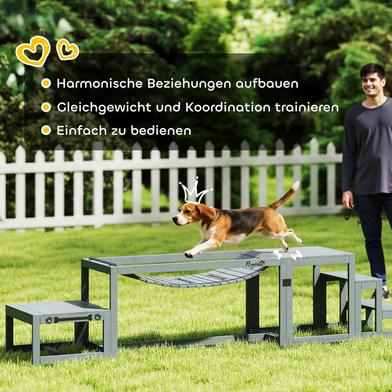 Hundetraining & Agility