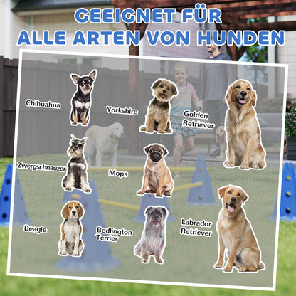 Spielerisch fit: Dein Hunde-Agility-Hürdenset mit 3 Hürden (Blau)