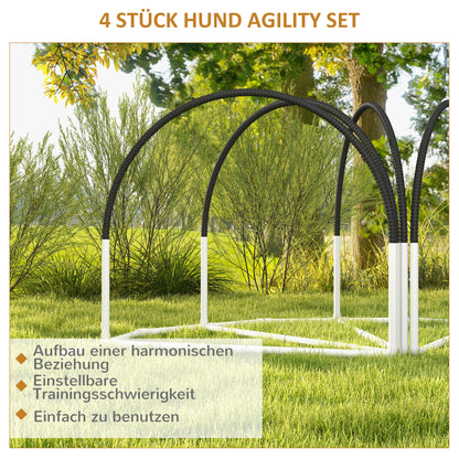 Kurven, Sprünge, Köpfchen: Dein 4-teiliges Hunde-Agility-Set