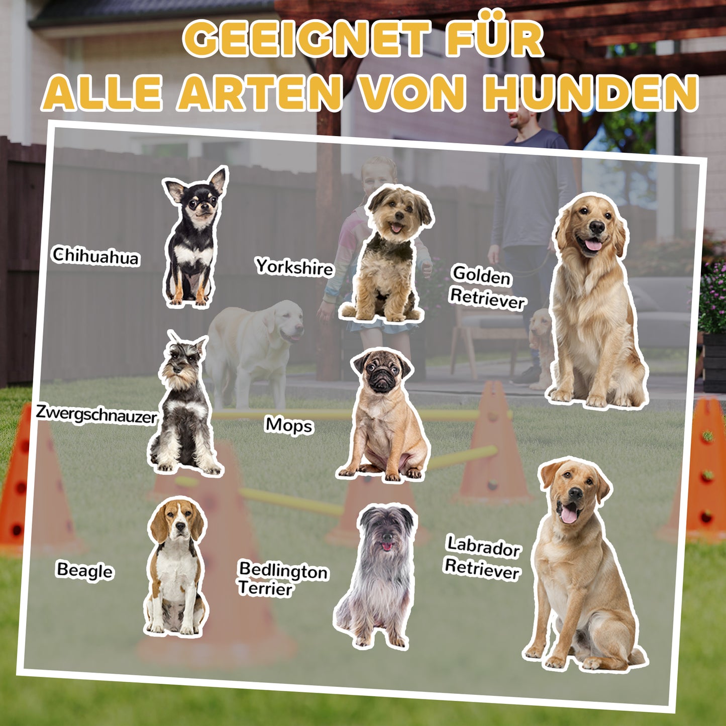 Spielerisch fit: Dein Hunde-Agility-Hürdenset mit 3 Hürden (Orange)