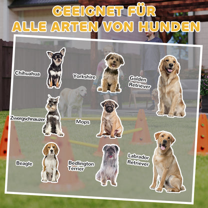 Spielerisch fit: Dein Hunde-Agility-Hürdenset mit 3 Hürden (Orange)