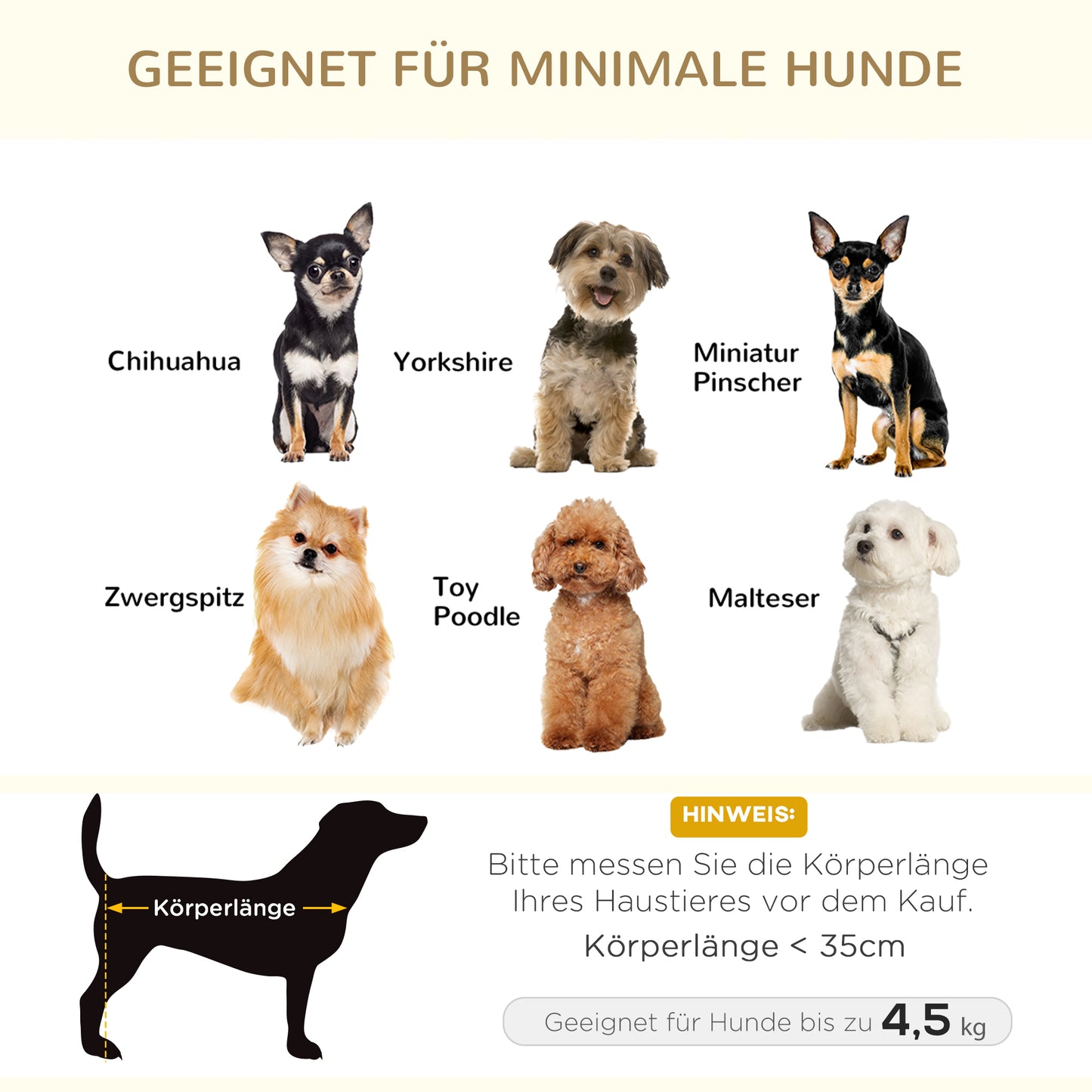 Erhöht und kuschelig: Dein gepolstertes Hundesofa für kleine Lieblinge (bis 4,5 kg)