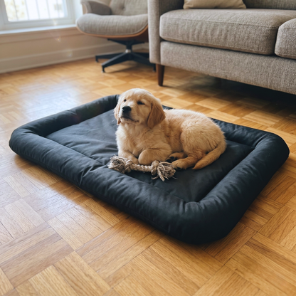 Grenzenlose Gemütlichkeit: Dein neues Hundebett XXL