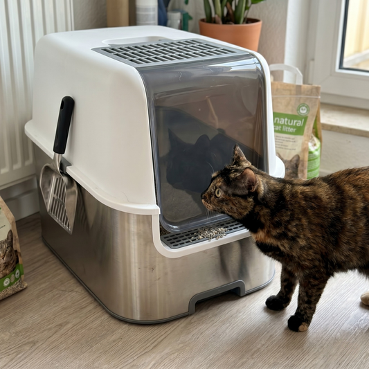 Edelstahl Katzentoilette mit Deckel: hygienisch sauber, wo Plastik längst aufgibt