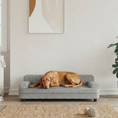 Purer Luxus für deinen Vierbeiner: Das gemütliche Hundesofa Velvet