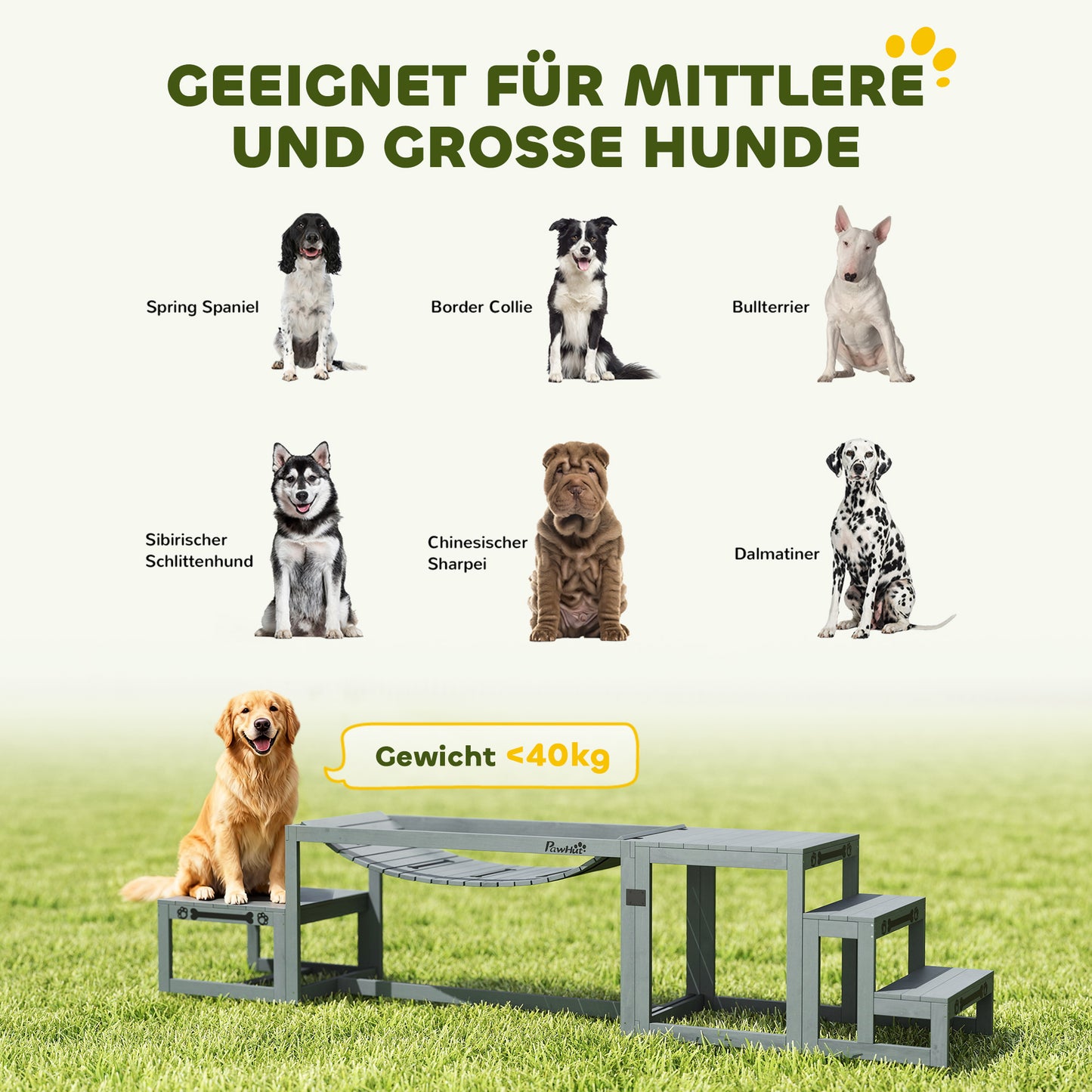 Balancieren, klettern, wachsen: Dein 3-teiliges Hunde-Agility-Set aus Holz
