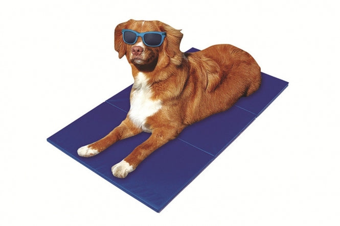 Kühlmatte für Hund und Katze