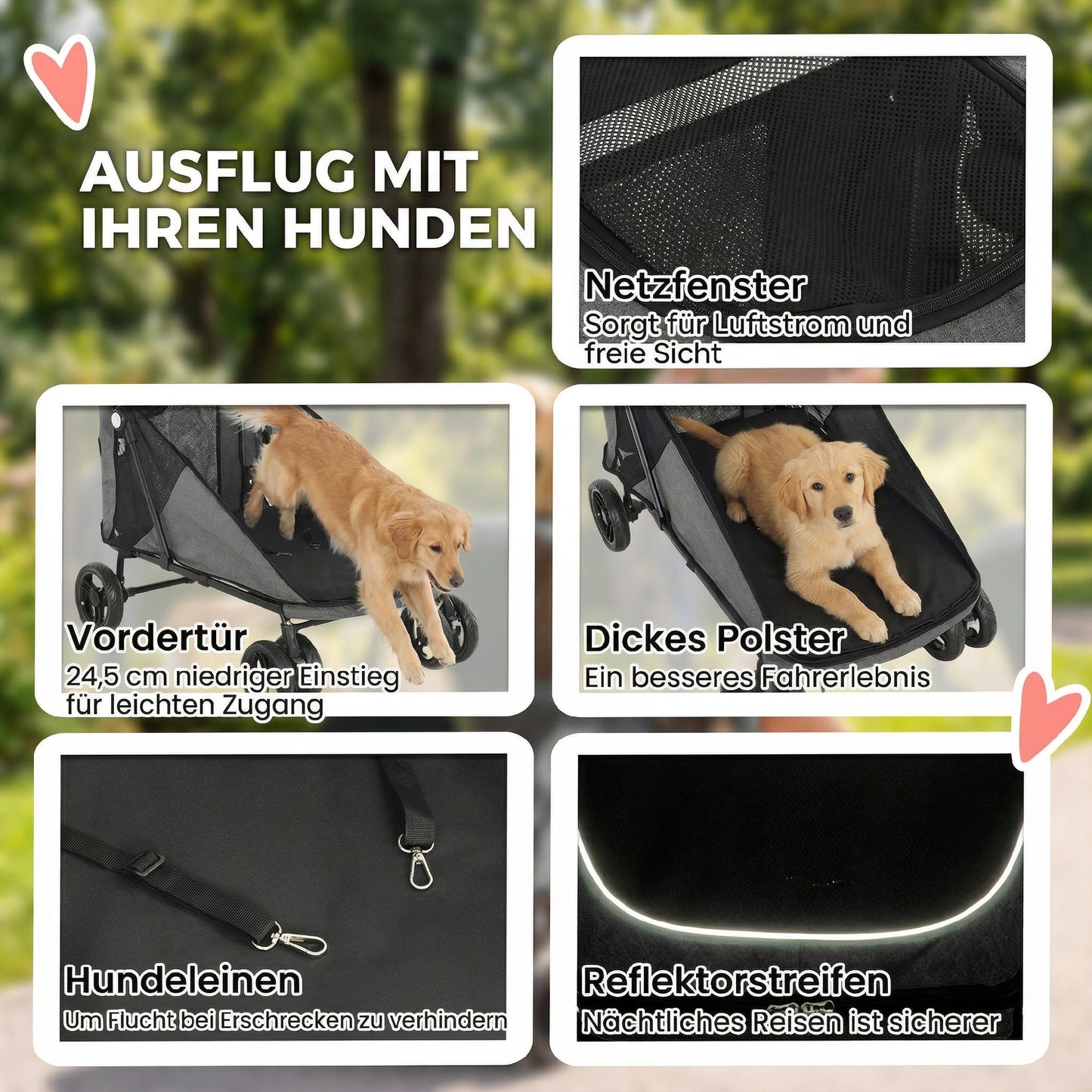 Hundewagen für große Hunde: damit eure Lieblingsrunde nie enden muss