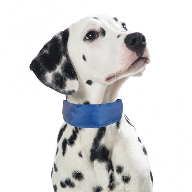Kühl-Halstuch für Hunde